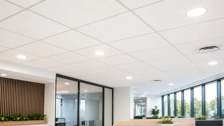 Acoustic ceiling and wall panels in a bright commercial interior
